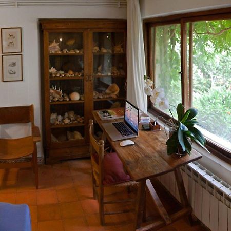 몬델로 Il Glicine Sul Golfo B&B 외부 사진