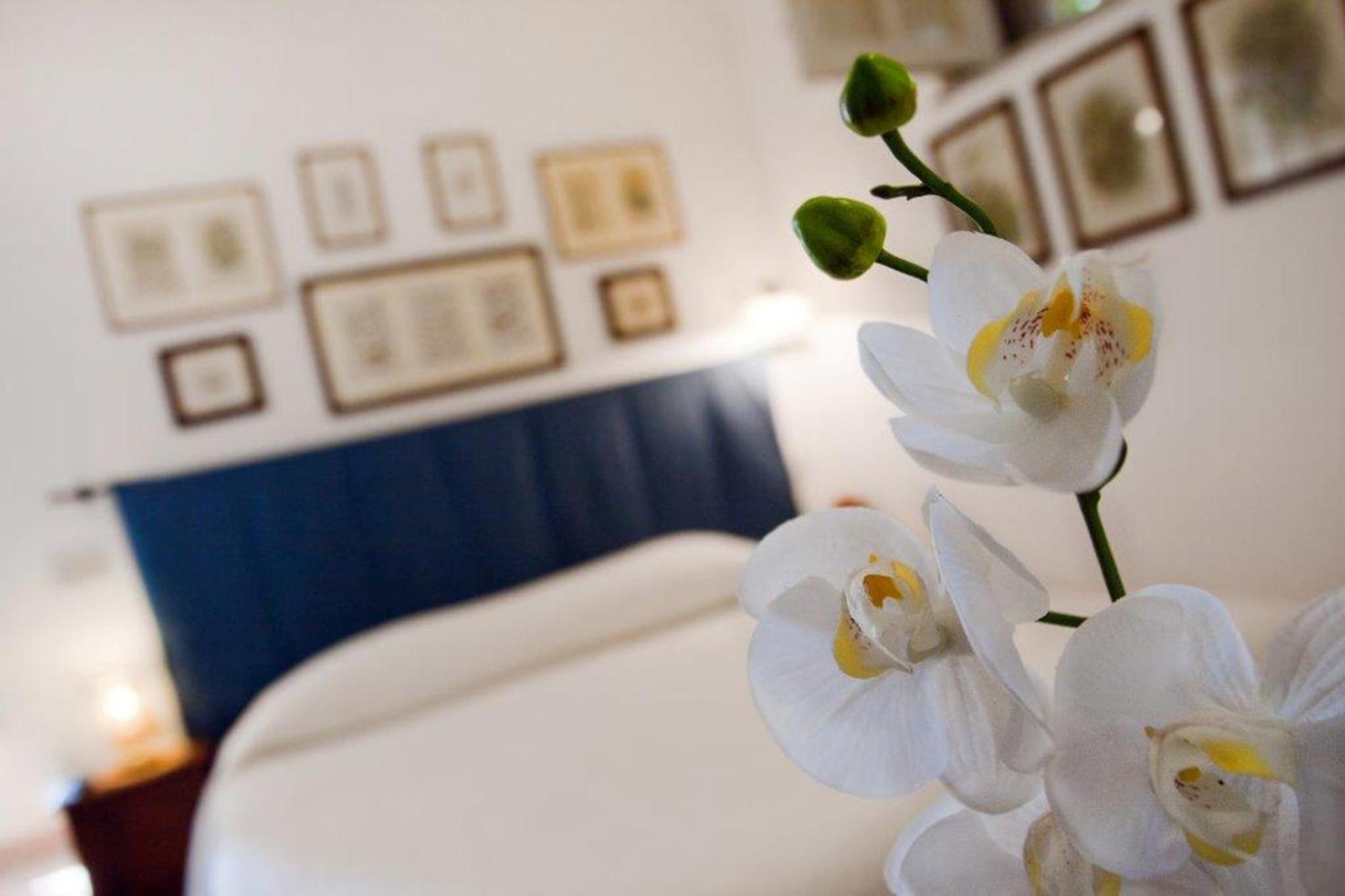 몬델로 Il Glicine Sul Golfo B&B 객실 사진